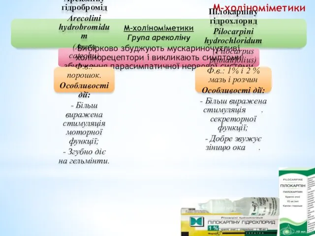 М-холіноміметики М-холіноміметики Група ареколіну Вибірково збуджують мускариночутливі холінорецептори і викликають симптоми