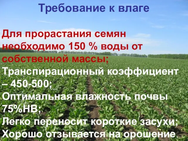 Требование к влаге Для прорастания семян необходимо 150 % воды от