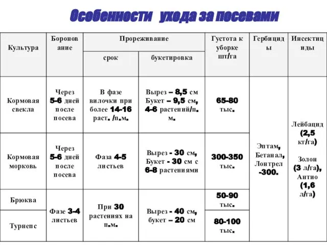 Особенности ухода за посевами