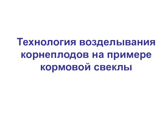 Технология возделывания корнеплодов на примере кормовой свеклы