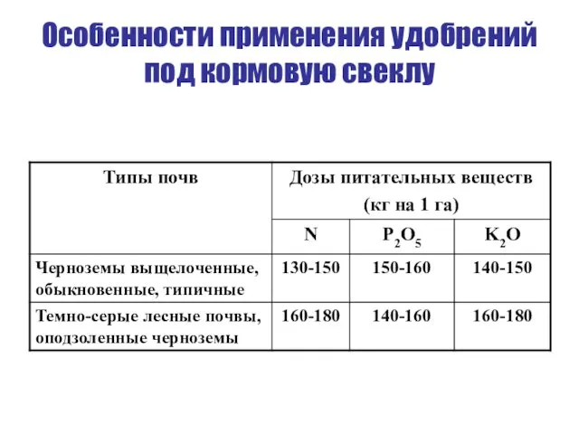 Особенности применения удобрений под кормовую свеклу