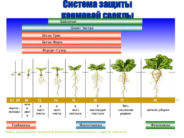 Система защиты кормовой свеклы Перед применением препаратов внимательно ознакомьтесь с тарной этикеткой.