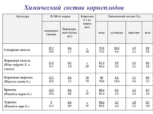 Химический состав корнеплодов