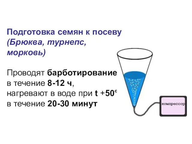 Подготовка семян к посеву (Брюква, турнепс, морковь) Проводят барботирование в течение