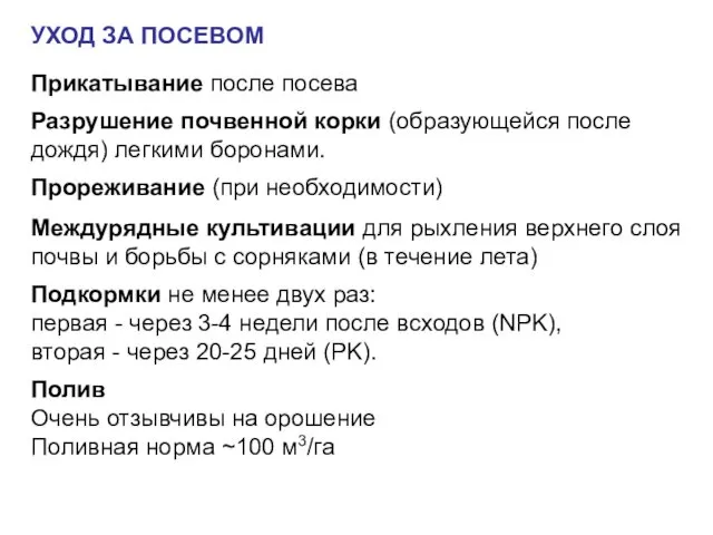 Прикатывание после посева Разрушение почвенной корки (образующейся после дождя) легкими боронами.