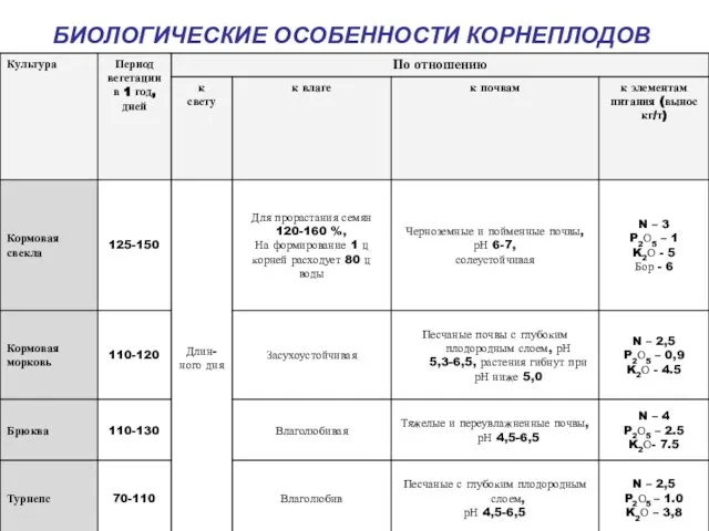 БИОЛОГИЧЕСКИЕ ОСОБЕННОСТИ КОРНЕПЛОДОВ