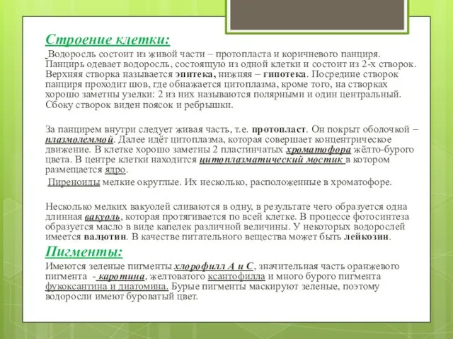 Строение клетки: Водоросль состоит из живой части – протопласта и коричневого