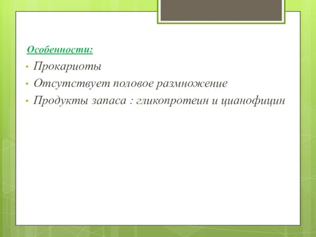 Особенности: Прокариоты Отсутствует половое размножение Продукты запаса : гликопротеин и цианофицин