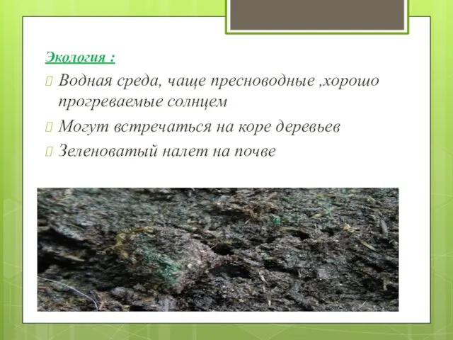 Экология : Водная среда, чаще пресноводные ,хорошо прогреваемые солнцем Могут встречаться