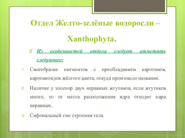 Отдел Желто-зелёные водоросли – Xanthophyta. Из особенностей отдела следует отметить следующее: