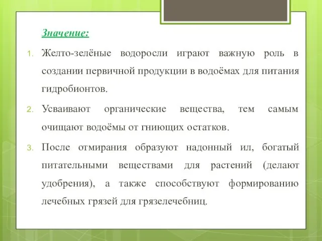 Значение: Желто-зелёные водоросли играют важную роль в создании первичной продукции в