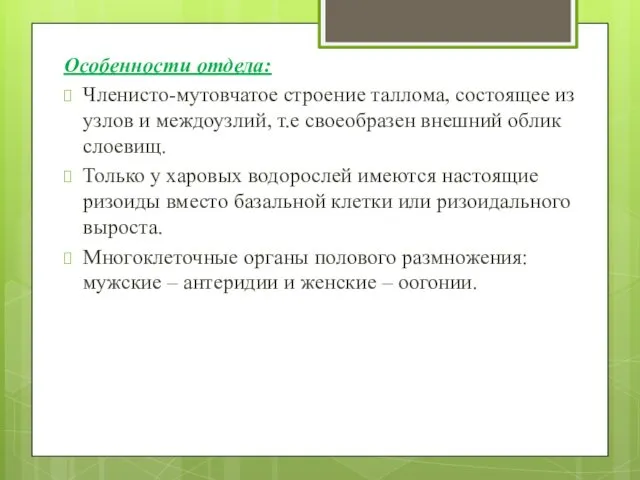 Особенности отдела: Членисто-мутовчатое строение таллома, состоящее из узлов и междоузлий, т.е