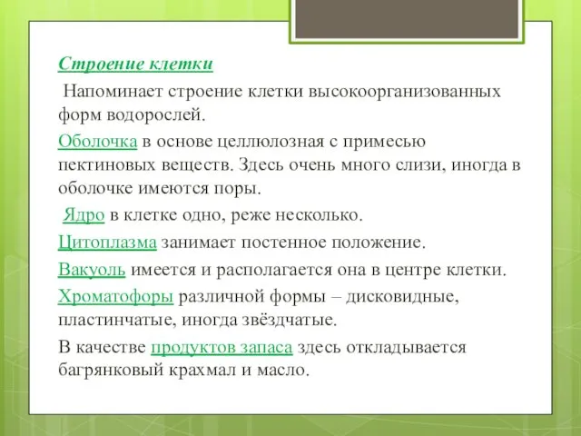 Строение клетки Напоминает строение клетки высокоорганизованных форм водорослей. Оболочка в основе