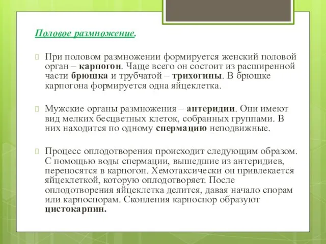 Половое размножение. При половом размножении формируется женский половой орган – карпогон.