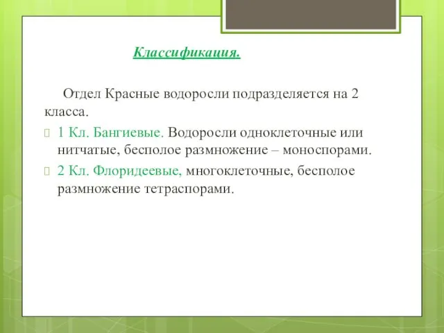 Классификация. Отдел Красные водоросли подразделяется на 2 класса. 1 Кл. Бангиевые.