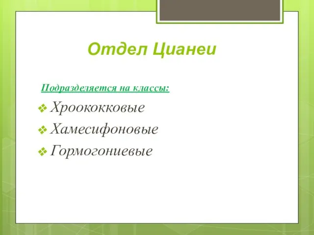 Отдел Цианеи Подразделяется на классы: Хроококковые Хамесифоновые Гормогониевые