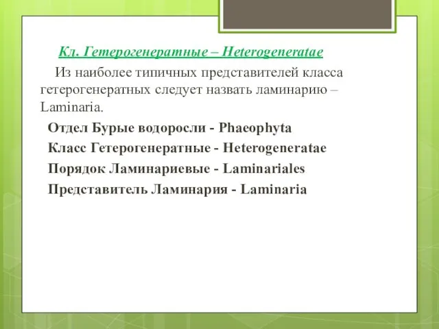 Кл. Гетерогенератные – Heterogeneratae Из наиболее типичных представителей класса гетерогенератных следует