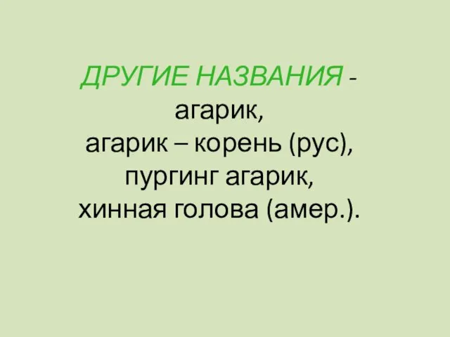 ДРУГИЕ НАЗВАНИЯ - агарик, агарик – корень (рус), пургинг агарик, хинная голова (амер.).