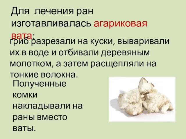 Для лечения ран изготавливалась агариковая вата: гриб разрезали на куски, вываривали