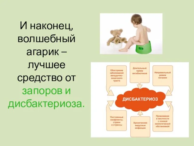 И наконец, волшебный агарик – лучшее средство от запоров и дисбактериоза.