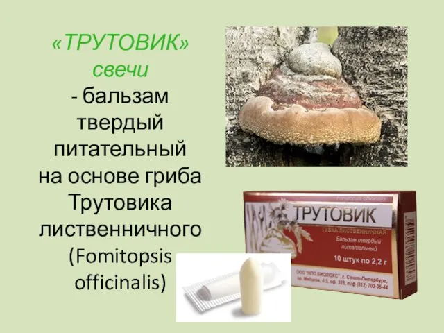 «ТРУТОВИК» свечи - бальзам твердый питательный на основе гриба Трутовика лиственничного (Fomitopsis officinalis)