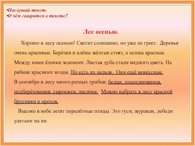 Лес осенью. Хорошо в лесу осенью! Светит солнышко, но уже не