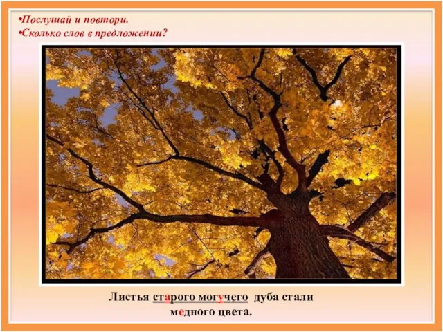 Листья старого могучего дуба стали медного цвета. Послушай и повтори. Сколько слов в предложении?