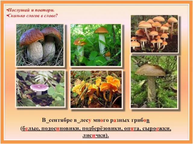 В͜ сентябре в͜ лесу много разных грибов (белые, подосиновики, подберёзовики, опята,