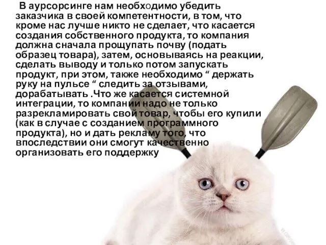 В аурсорсинге нам необходимо убедить заказчика в своей компетентности, в том,