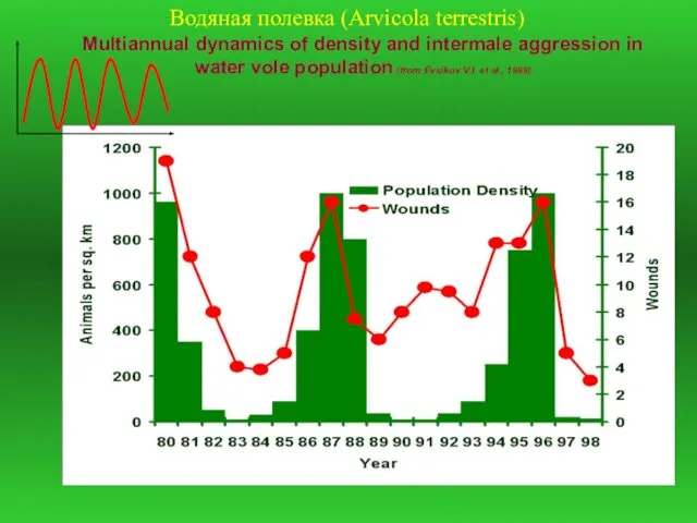 Multiannual dynamics of density and intermale aggression in water vole population