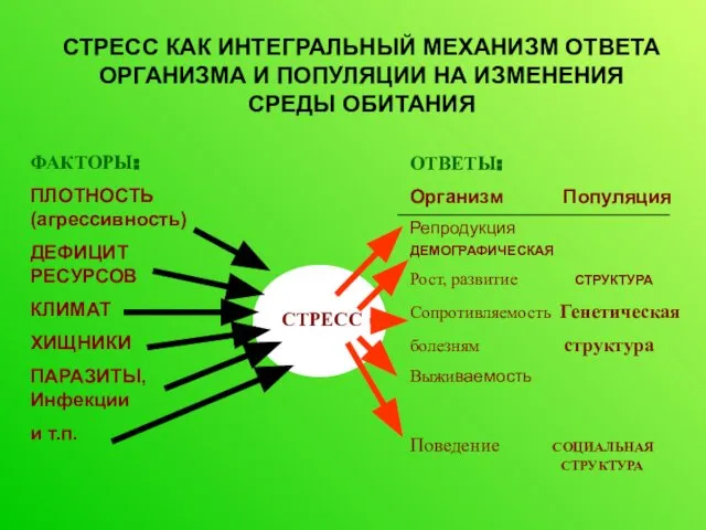 ФАКТОРЫ: ПЛОТНОСТЬ (агрессивность) ДЕФИЦИТ РЕСУРСОВ КЛИМАТ ХИЩНИКИ ПАРАЗИТЫ, Инфекции и т.п.