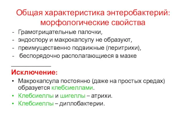 Общая характеристика энтеробактерий: морфологические свойства Грамотрицательные палочки, эндоспору и макрокапсулу не