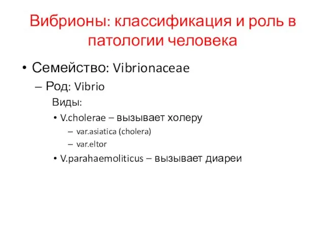 Вибрионы: классификация и роль в патологии человека Семейство: Vibrionaceae Род: Vibrio