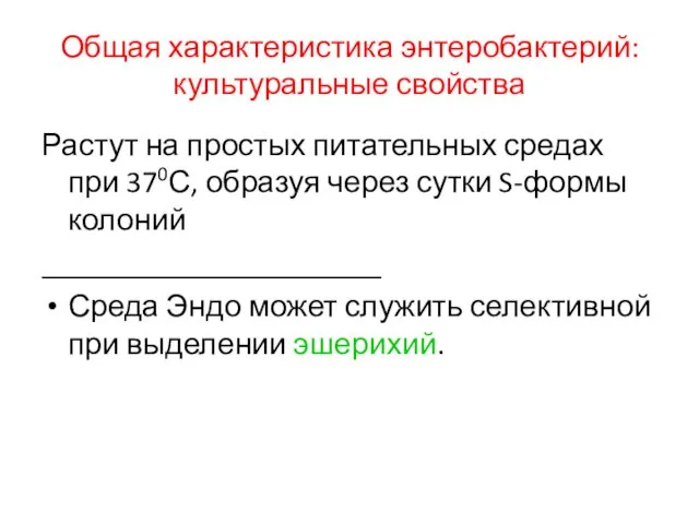 Общая характеристика энтеробактерий: культуральные свойства Растут на простых питательных средах при