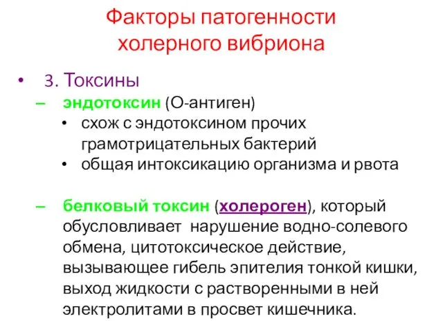 Факторы патогенности холерного вибриона 3. Токсины эндотоксин (О-антиген) схож с эндотоксином