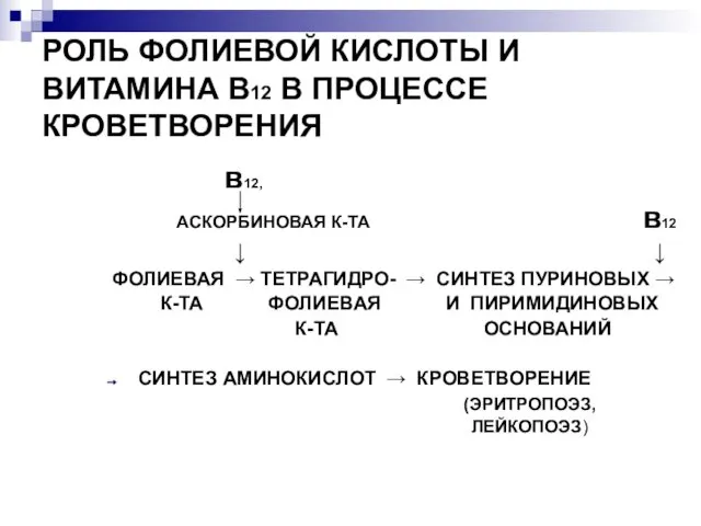 РОЛЬ ФОЛИЕВОЙ КИСЛОТЫ И ВИТАМИНА В12 В ПРОЦЕССЕ КРОВЕТВОРЕНИЯ в12, АСКОРБИНОВАЯ