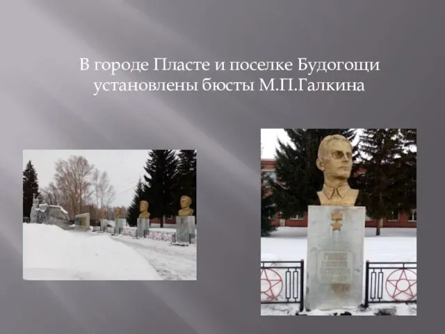 В городе Пласте и поселке Будогощи установлены бюсты М.П.Галкина