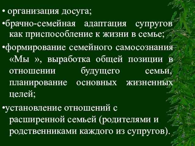 • организация досуга; •брачно-семейная адаптация супругов как приспособление к жизни в