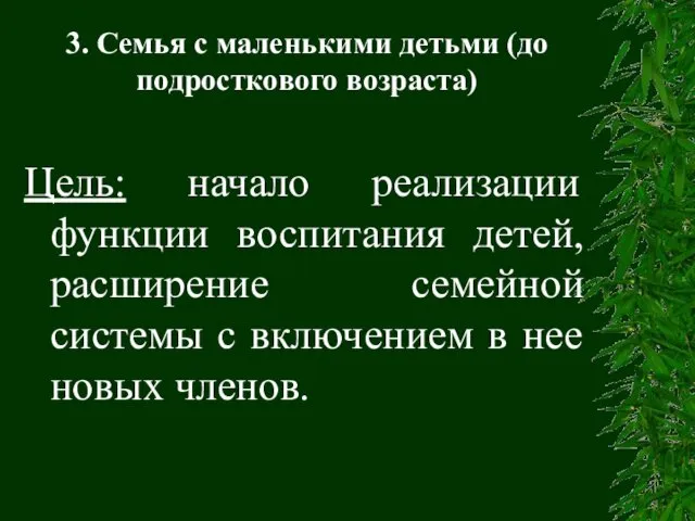 3. Семья с маленькими детьми (до подросткового возраста) Цель: начало реализации