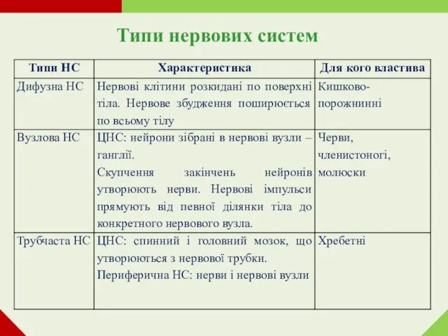 Типи нервових систем