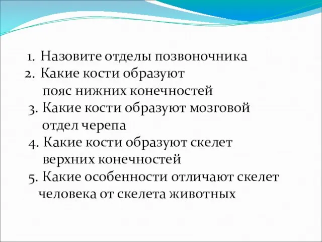 Назовите отделы позвоночника Какие кости образуют пояс нижних конечностей 3. Какие