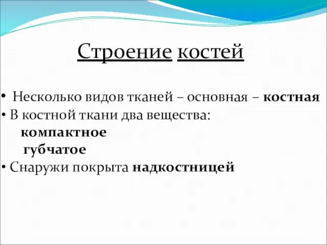 Строение костей Несколько видов тканей – основная – костная В костной