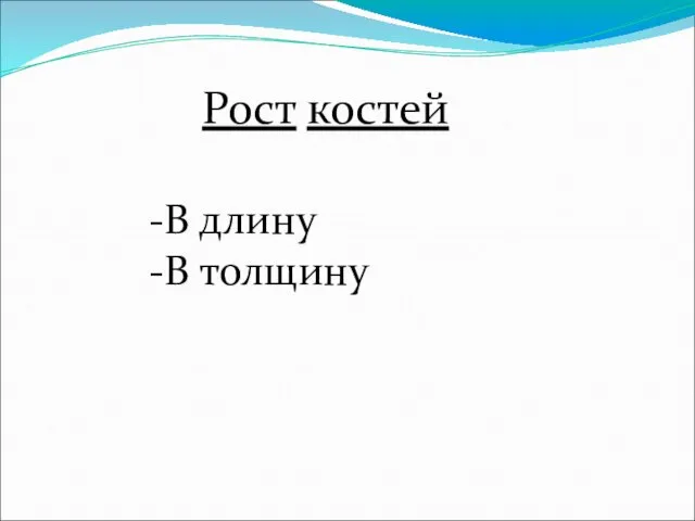 Рост костей В длину В толщину