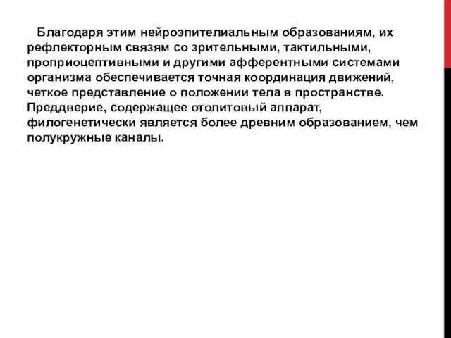 Благодаря этим нейроэпителиальным образованиям, их рефлекторным связям со зрительными, тактильными, проприоцептивными