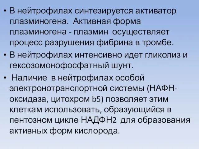 В нейтрофилах синтезируется активатор плазминогена. Активная форма плазминогена - плазмин осуществляет