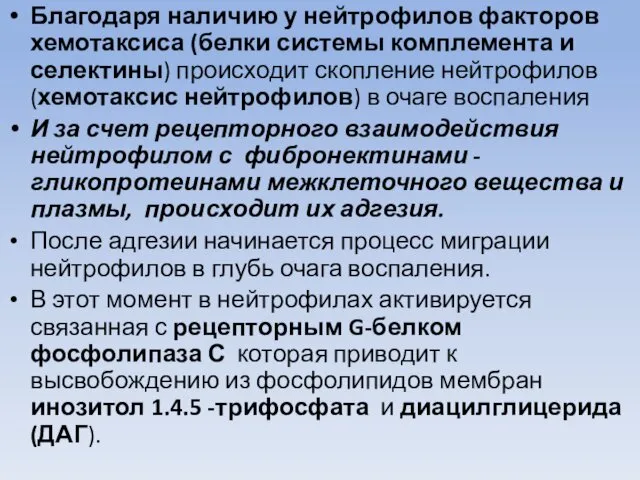 Благодаря наличию у нейтрофилов факторов хемотаксиса (белки системы комплемента и селектины)