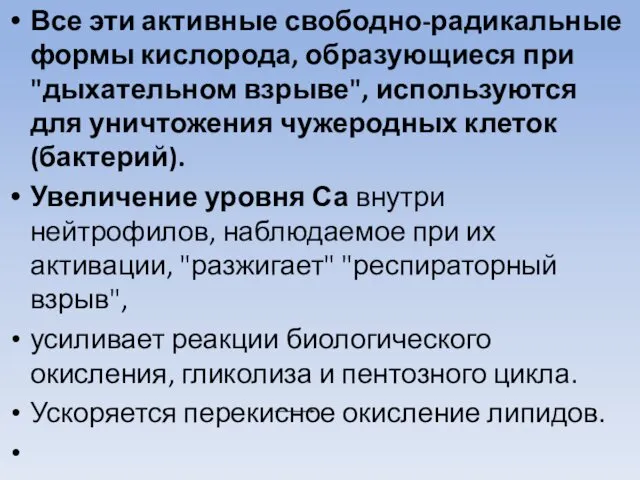 Все эти активные свободно-радикальные формы кислорода, образующиеся при "дыхательном взрыве", используются