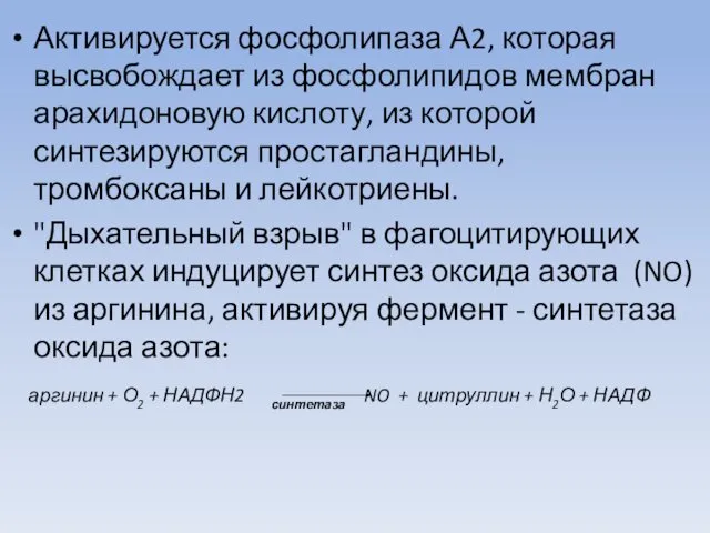 Активируется фосфолипаза А2, которая высвобождает из фосфолипидов мембран арахидоновую кислоту, из