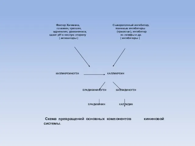 Фактор Хагемана, Сывороточный ингибитор, плазмин, трипсин, тканевые ингибиторы адреналин, уроканиназа, (трасилол),