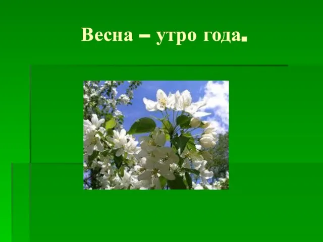 Весна – утро года.